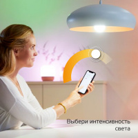 Лампа Gauss Smart Home A60 10W 1055lm 2700К E27 диммируемая LED 1/10/40 Лампа Gauss Smart Home A60 10W 1055lm 2700К E27 диммируемая LED 1/10/40