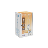 Лампа Gauss Smart Home Filament СF35 4,5W 495lm 2700К E14 диммируемая LED 1/10/40 Лампа Gauss Smart Home Filament СF35 4,5W 495lm 2700К E14 диммируемая LED 1/10/40