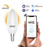Лампа Gauss Smart Home С37 5W 470lm 2700К Е14 диммируемая LED 1/10/40 Лампа Gauss Smart Home С37 5W 470lm 2700К Е14 диммируемая LED 1/10/40