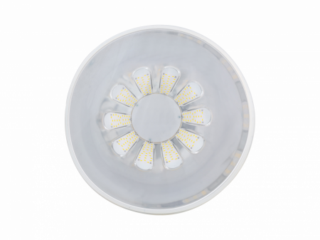 Diora Craft 85/11000 4K Diora Craft 85/11000 4K