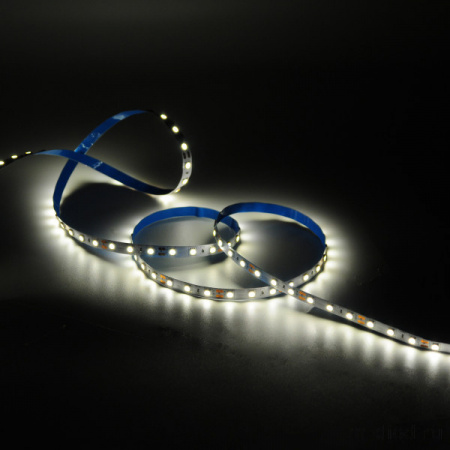 Лента Gauss Basic LED 5050/60 12V 10W/m 700lm/m 3000K 10mm IP20 1m 1/100