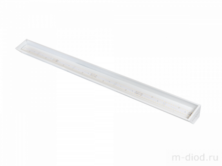 Diora R-tail 44/6800 4K-1500 Diora R-tail 44/6800 4K-1500