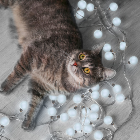 Гирлянда садовая на солнечной батарее 10 LED ламп Большие Шары Белый свет Gauss Solar, 1/24