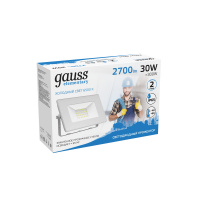 Прожектор Gauss Elementary 30W 2700lm 6500K 200-240V IP65 белый LED 1/10 Прожектор Gauss Elementary 30W 2700lm 6500K 200-240V IP65 белый LED 1/10