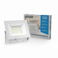 Прожектор Gauss Elementary 100W 9500lm 6500K 175-265V IP65 белый LED 1/10 Прожектор Gauss Elementary 100W 9500lm 6500K 175-265V IP65 белый LED 1/10