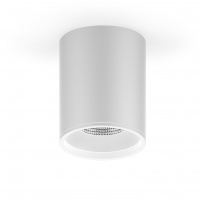 Светильник Gauss Overhead накл цил 12W 920lm 4100K 170-240V IP20 79*100мм белый LED 1/30