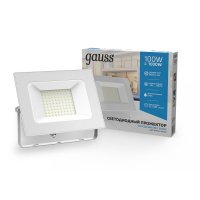 Прожектор Gauss Elementary 100W 9500lm 6500K 175-265V IP65 белый LED 1/10 Прожектор Gauss Elementary 100W 9500lm 6500K 175-265V IP65 белый LED 1/10