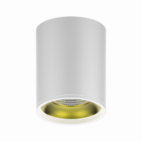 Светильник Gauss Overhead накл цил 12W 900lm 3000K 170-240V IP20 79*100мм белый золото LED 1/30