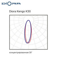 Diora Kengo 100/11000 К30 5K консоль Diora Kengo 100/11000 К30 5K консоль